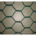 PVC coated Hexagonal Wire Mesh